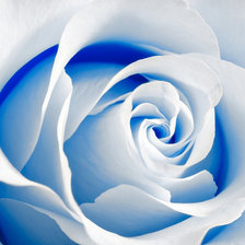 Схема вышивки «№707916»