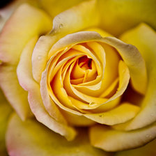 Схема вышивки «№707917»