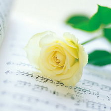 Схема вышивки «№707942»