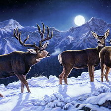 Схема вышивки «северные олени»