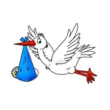 Схема вышивки «аист прилетел»