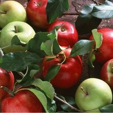 Схема вышивки «№708310»