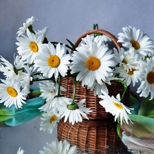 Схема вышивки «Ромашки»