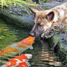 Схема вышивки «друзья»