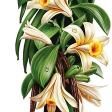 Схема вышивки «Цветы»