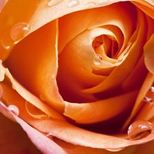 Схема вышивки «№708641»