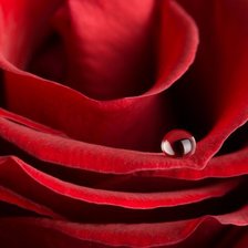 Схема вышивки «№708642»