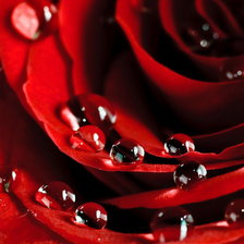 Схема вышивки «№708643»