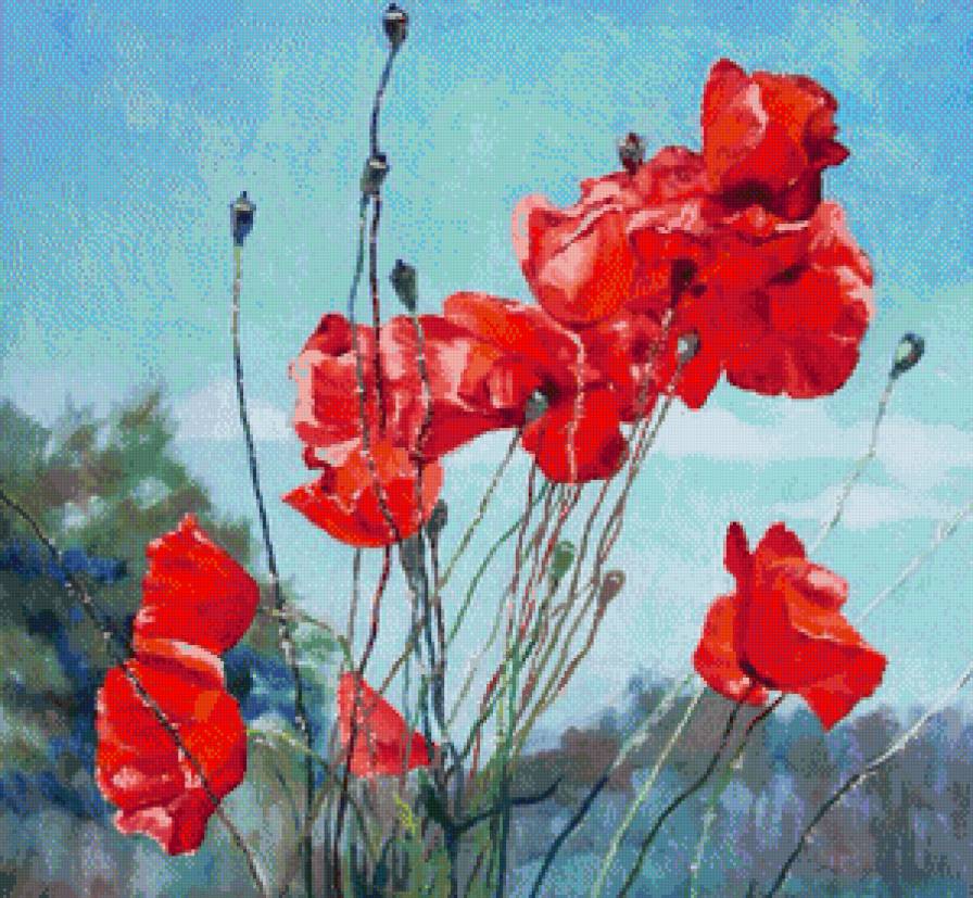 Маки - поле, маки - предпросмотр