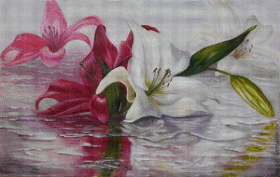Лилии на воде - лилии, отражение, вода - предпросмотр
