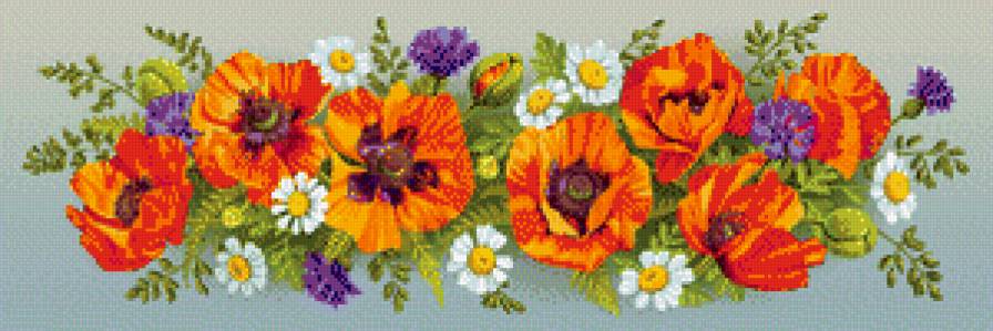 полевые цветы - маки, ромашка, мак, ромашки, цветы, растения - предпросмотр