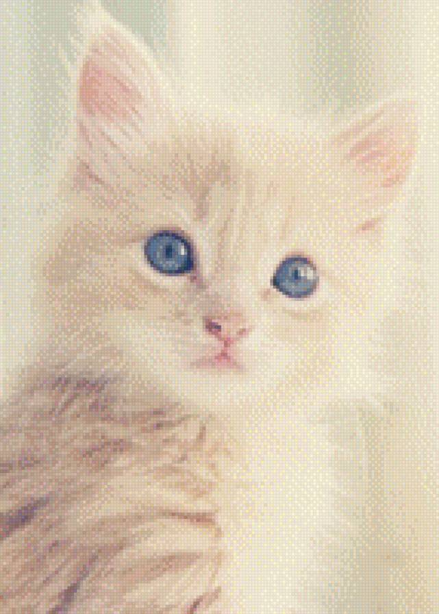 №708848 - животные, котенок, кошки, звери - предпросмотр