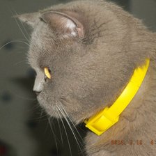 Схема вышивки «Алиса»