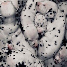 Схема вышивки «№708976»