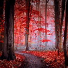 Схема вышивки «№709002»