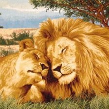 Схема вышивки «Нежность»