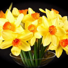 Схема вышивки «№709109»