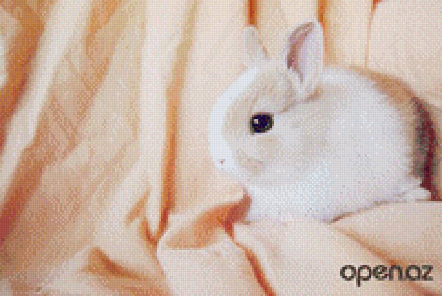 №709121 - зверюшки, звери, заяц, животные, няшки - предпросмотр