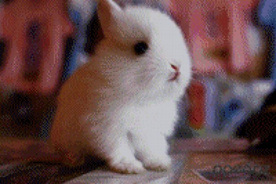 №709123 - заяц, животные, зверюшки, няшки, звери - предпросмотр