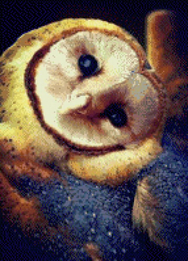 №709124 - совы, птицы - предпросмотр