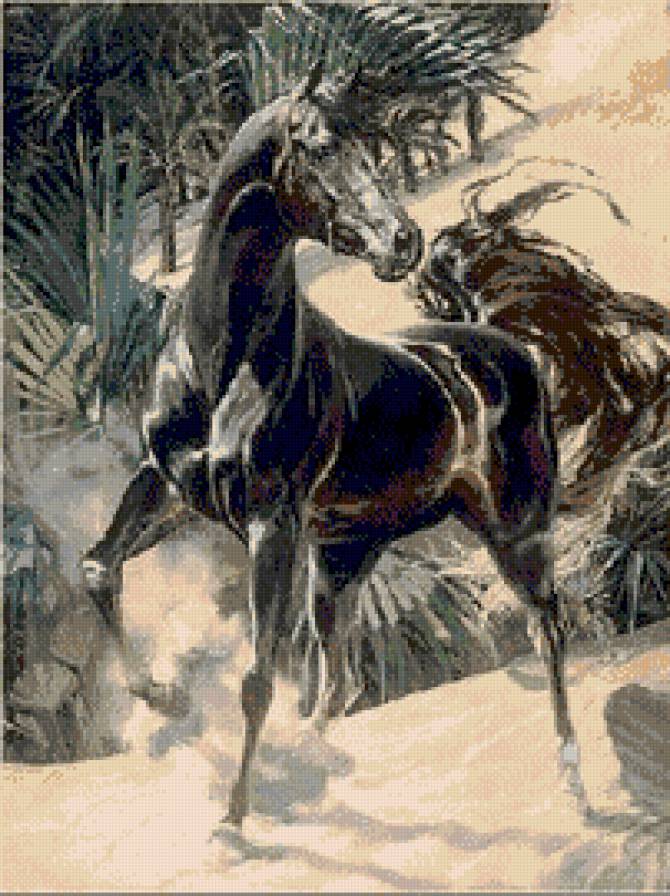 арабский жеребец - животные лошади - предпросмотр