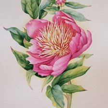 Схема вышивки «№709507»