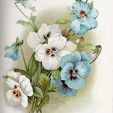 Схема вышивки «№709528»