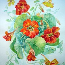 Схема вышивки «№709535»