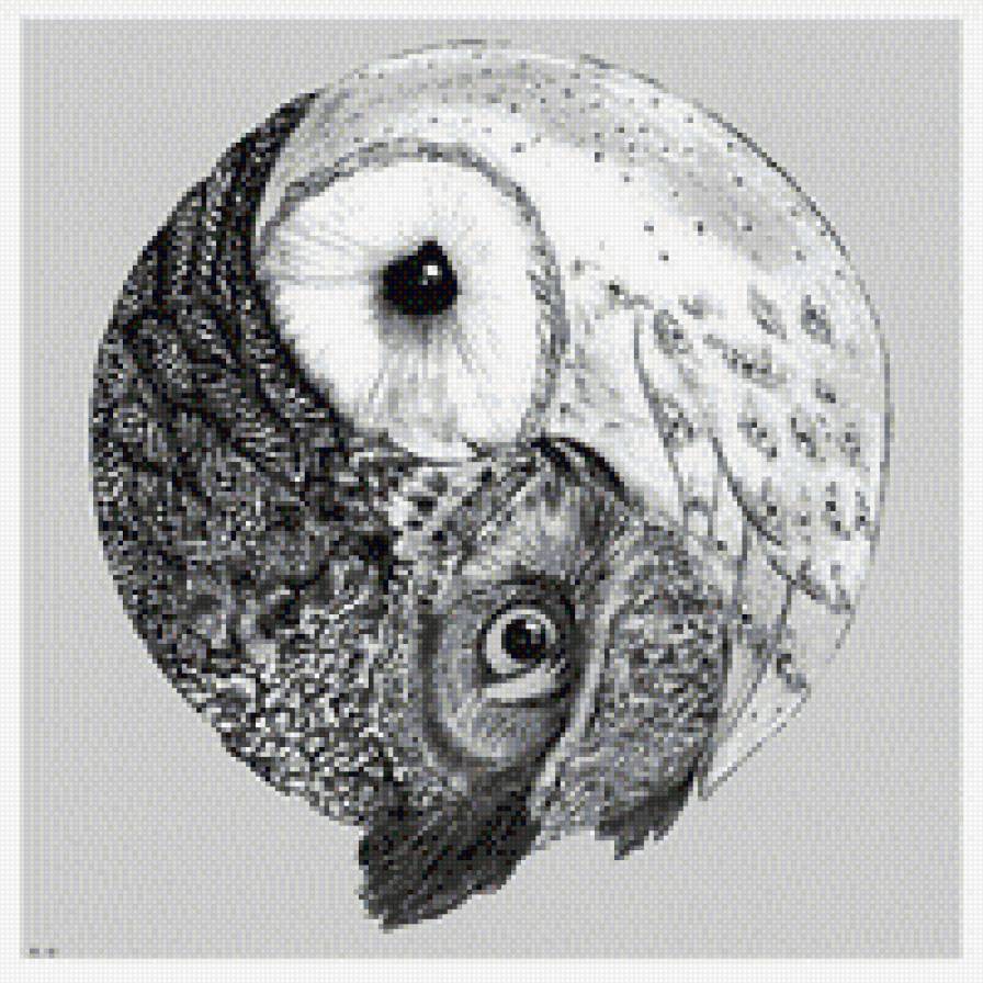 №709653 - совы, инь ян, птицы - предпросмотр