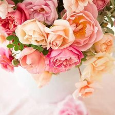 Схема вышивки «№709654»