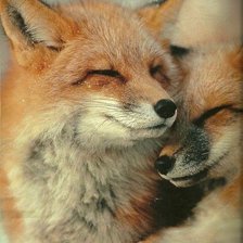 Схема вышивки «№709668»