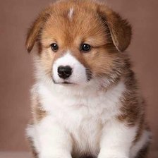 Схема вышивки «№709677»