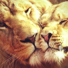 Схема вышивки «№709685»