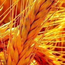 Схема вышивки «№709731»