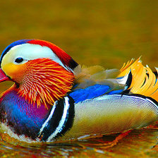 Схема вышивки «№709751»