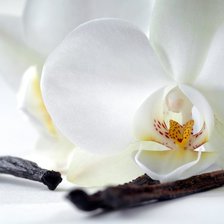 Схема вышивки «№709765»