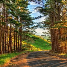 Схема вышивки «№709804»