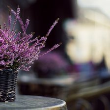 Схема вышивки «лаванда»