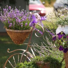 Схема вышивки «испания»