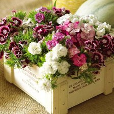 Схема вышивки «цветы»