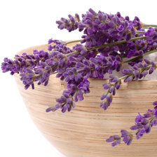 Схема вышивки «лаванда»