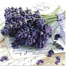 Схема вышивки «лаванда»