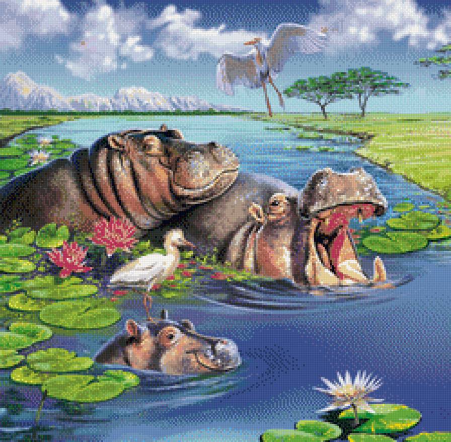 бегемотики - животные, природа, бегемот - предпросмотр