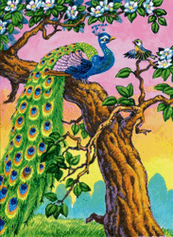 павлин - птицы, картина, павлины, павлин - предпросмотр