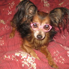 Схема вышивки «Каратик»