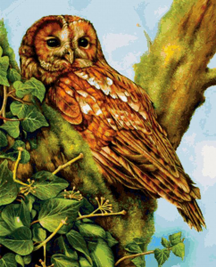 сова - природа, листья, птицы - предпросмотр