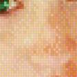 Предпросмотр схемы вышивки «Рыжая» (№710371)