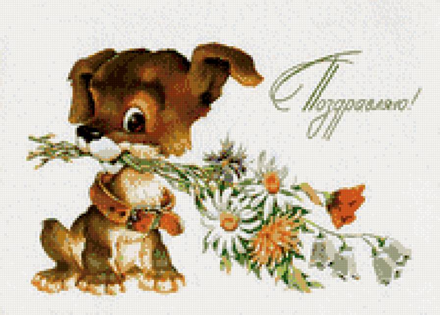 Собачка с букетом. - животные - предпросмотр