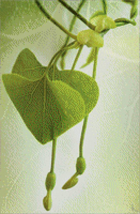 Листва - лист - предпросмотр