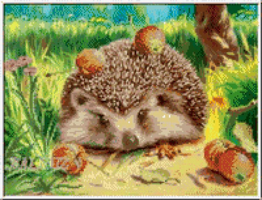 ежик - ежик - предпросмотр